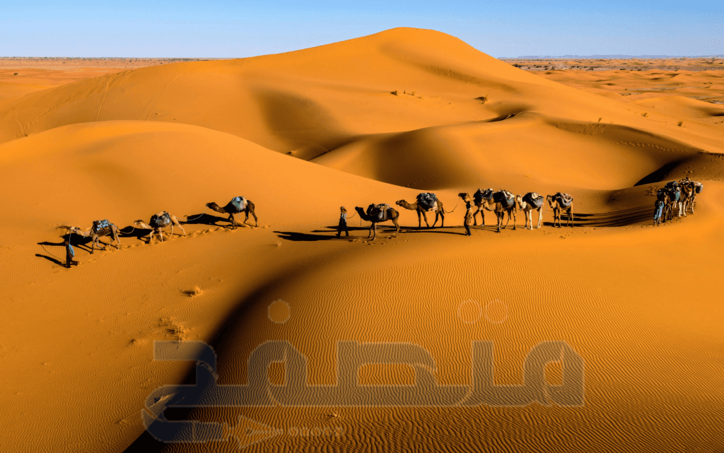 أفضل الوجهات السياحية في المغرب - دليلك لعطلة مثالية 11 Zagora – Photo by Sergey Pesterev
