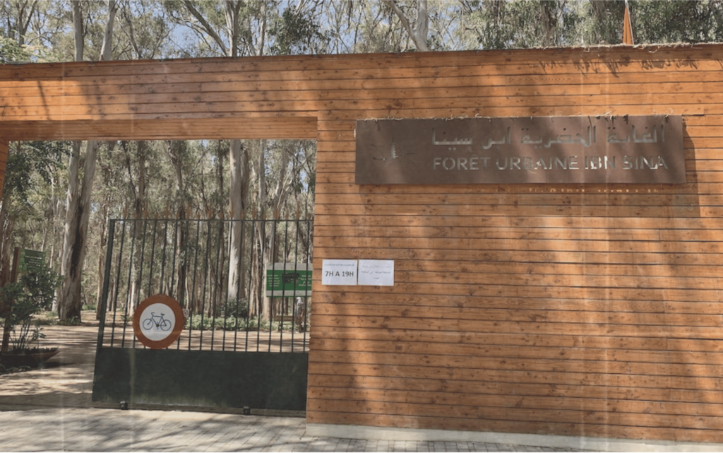 ما هي أفضل اماكن سياحية في الرباط؟ دليل شامل للمسافرين 20 urban forest Ibn Sina Photo by Google Maps